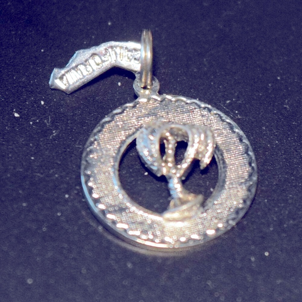 Sterling Silver California Palm Tree Charm Pendant Travel Tropical Brace…